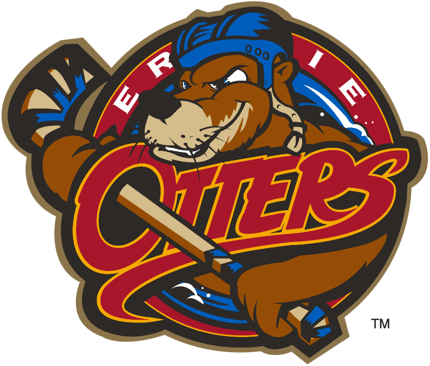 Erie Otters 2016-2019 Alternate Logo iron on heat transfer